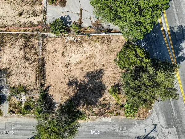 a view of a yard with plants