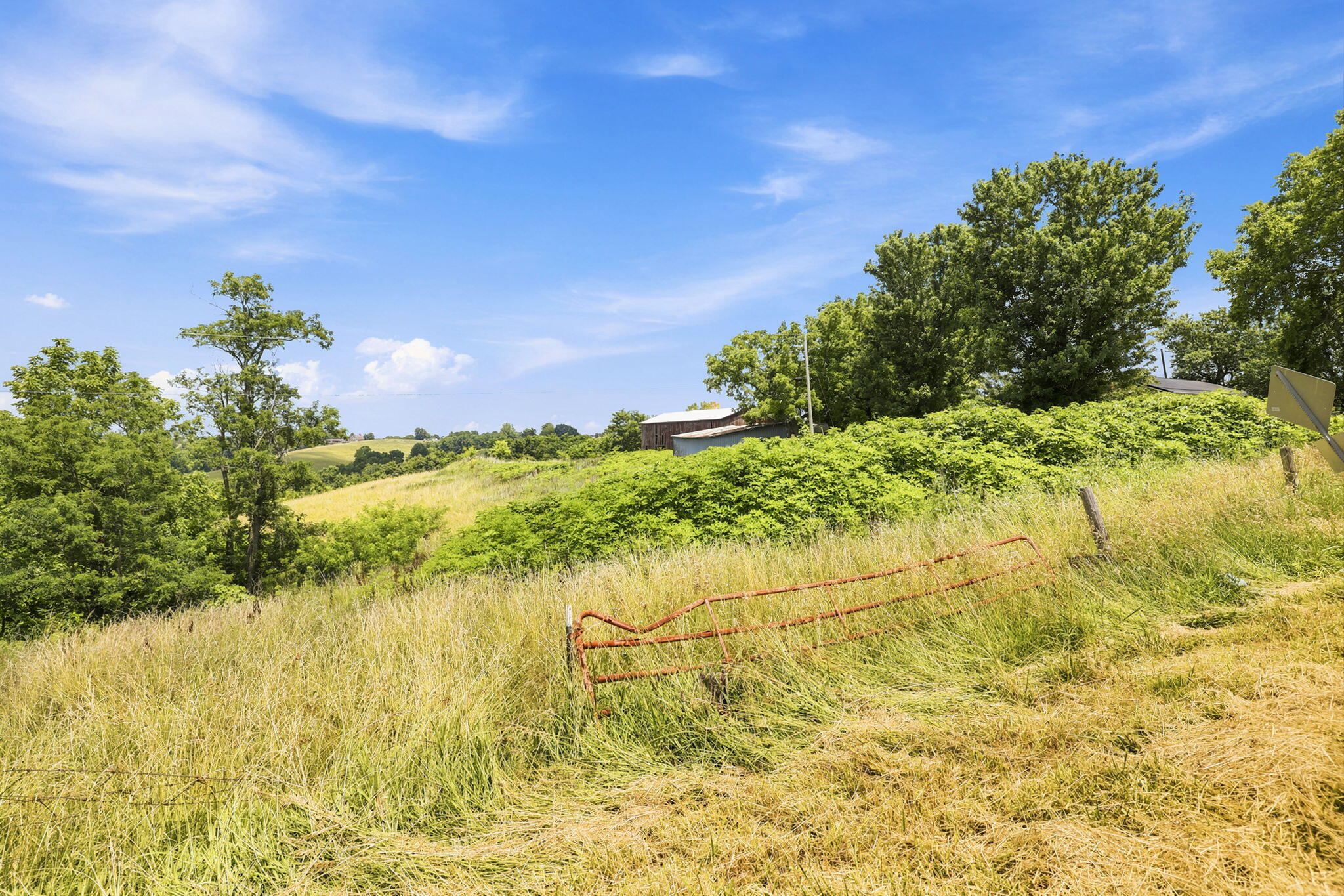 525 Chipman Ridge Road Williamstown, KY 41097 - Photo 45 of 49 48-web-or-mls-48-print-_B6A0701