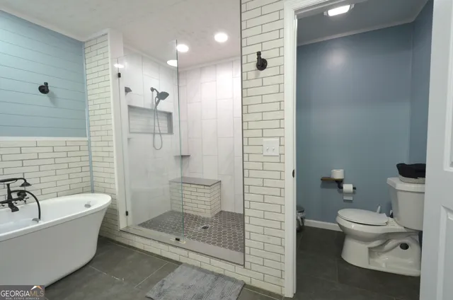 a bathroom with a toilet and a bathtub