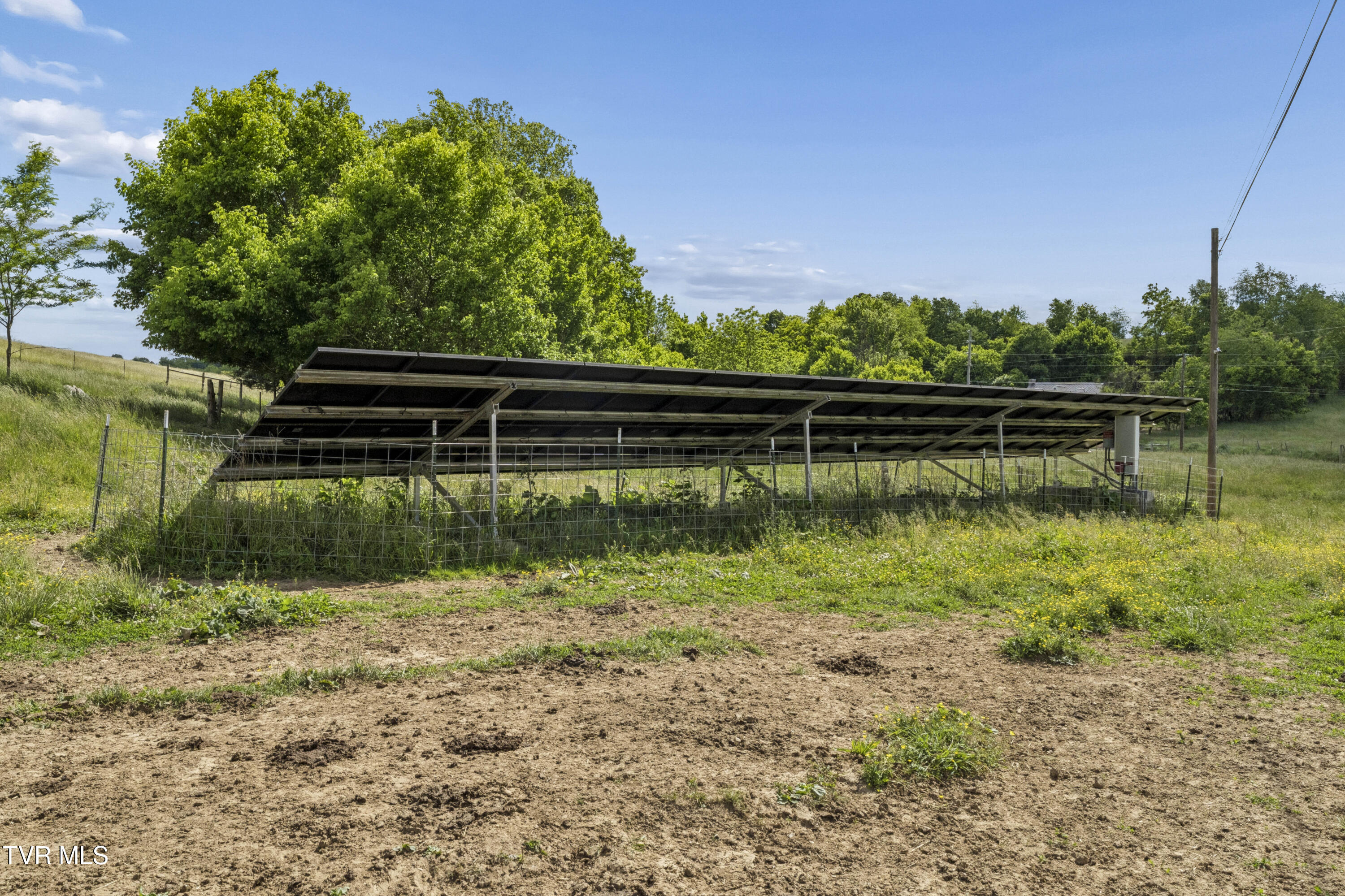 3200 Milburnton Road Limestone, TN 37681 - Photo 16 of 41 Mlburton-4409