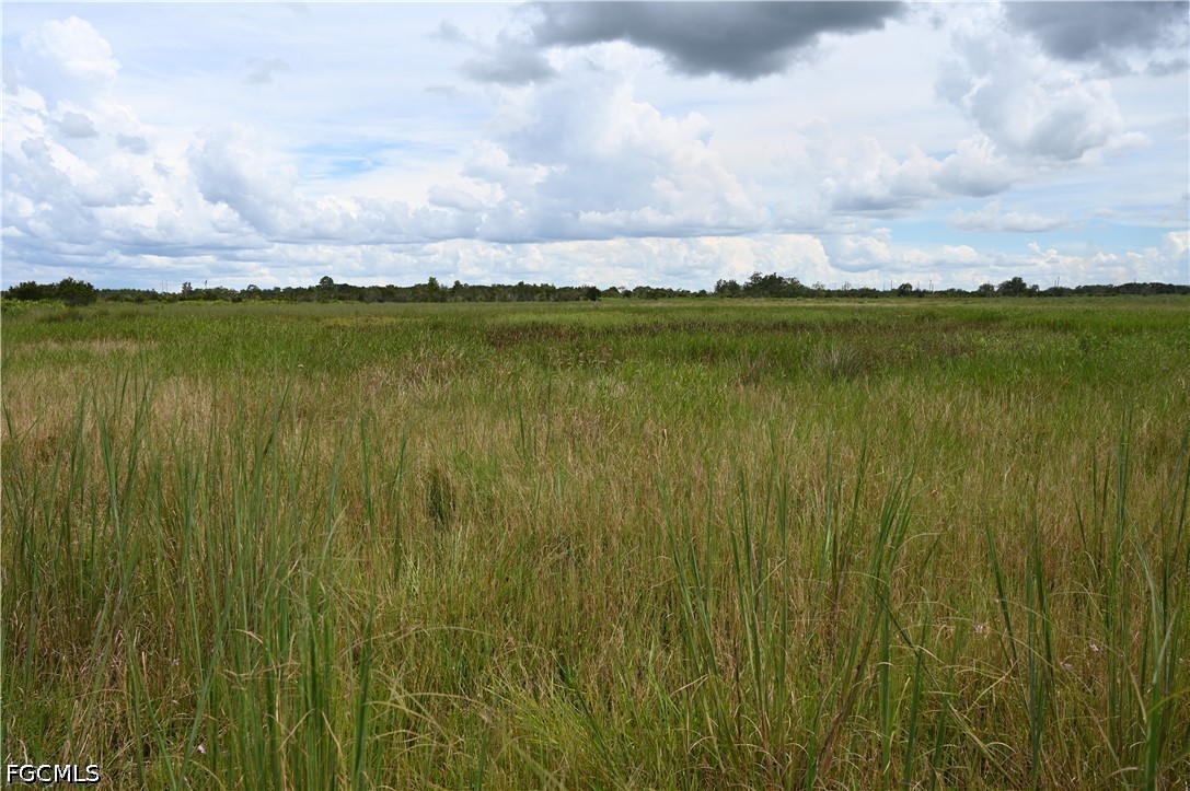 0 County Line Road East Bowling Green, FL 33834 - Photo 19 of 20