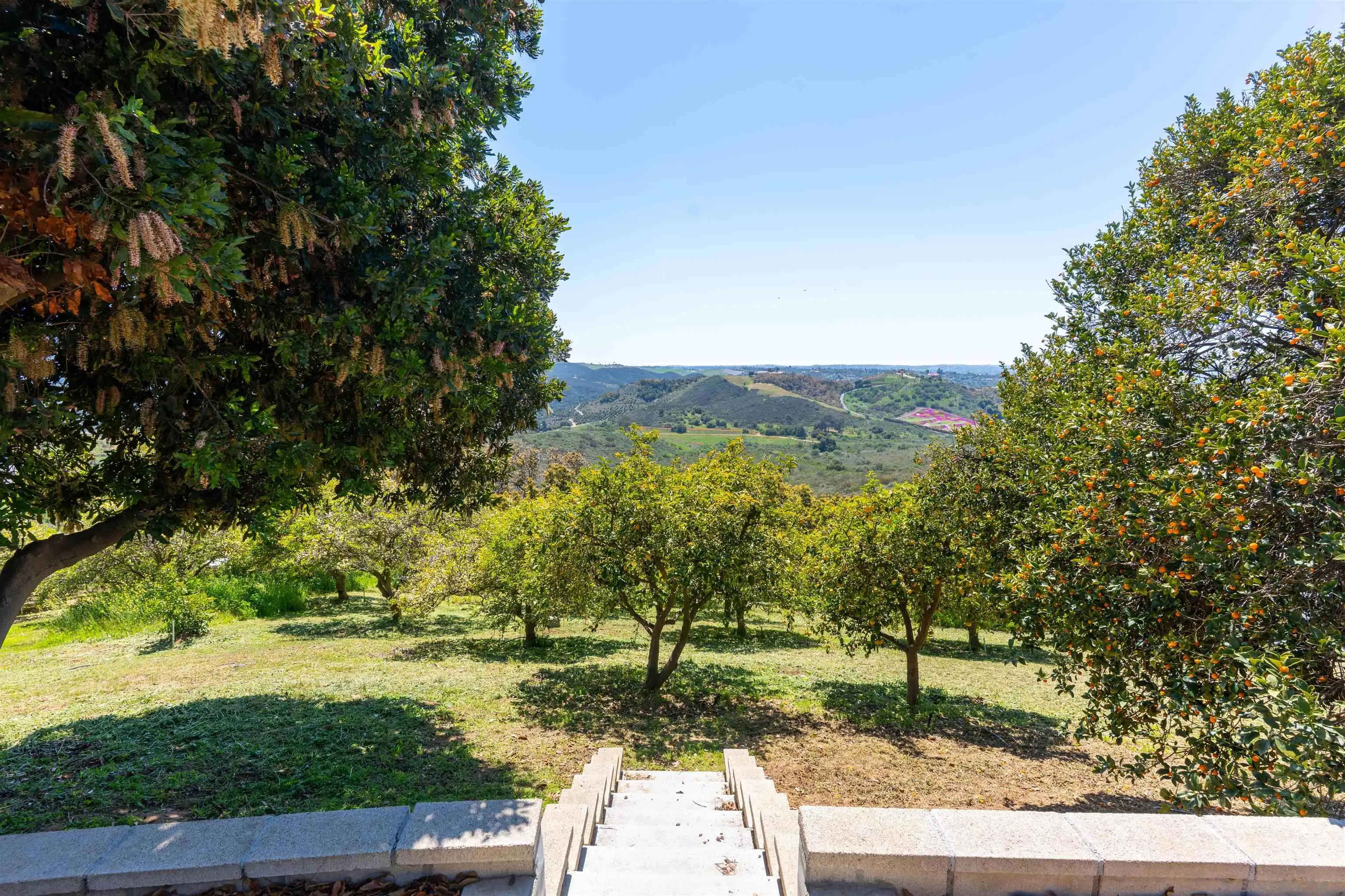 30410 Calle La Reina Bonsall, CA 92003 - Photo 40 of 54 a view of a yard