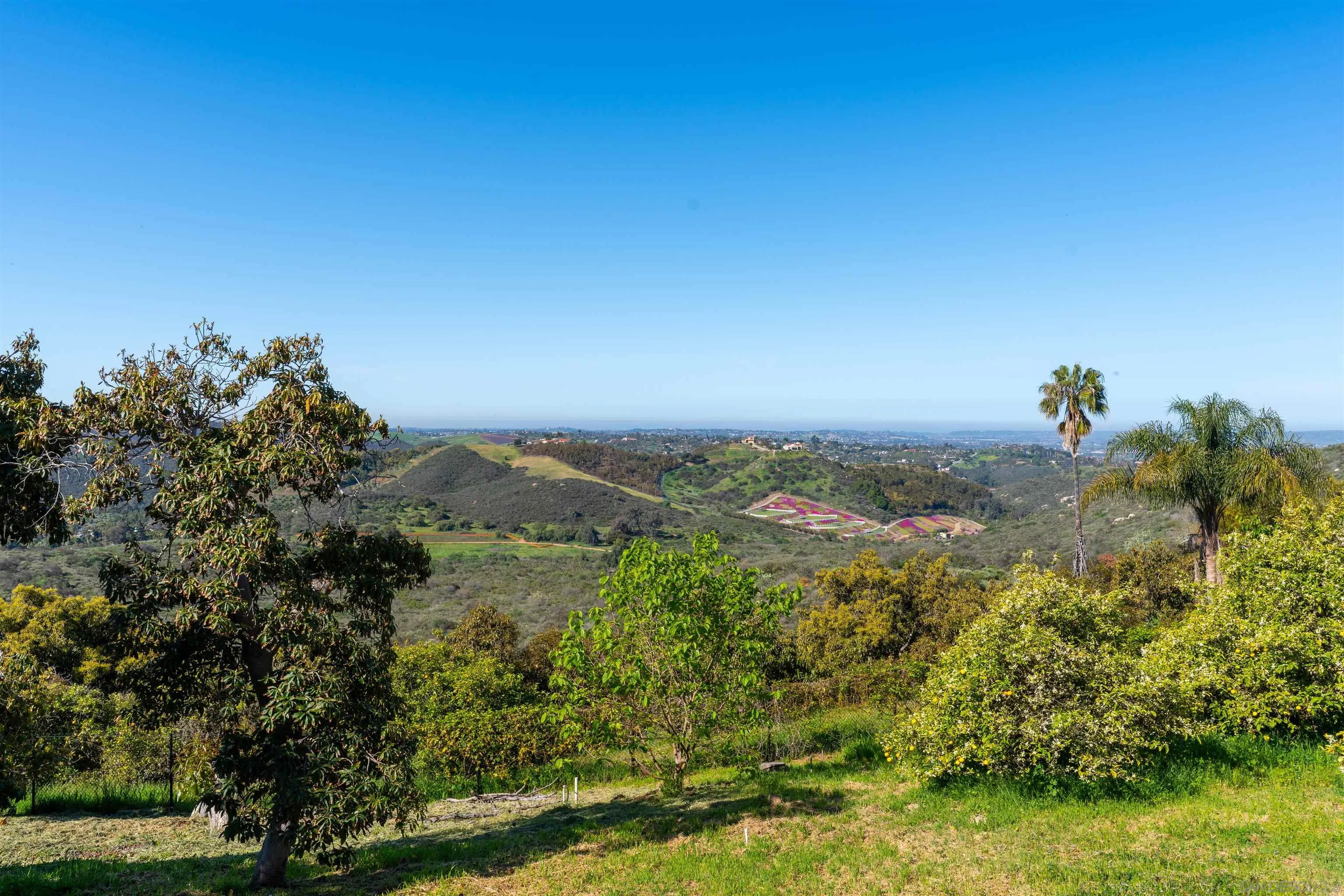 30410 Calle La Reina Bonsall, CA 92003 - Photo 41 of 54