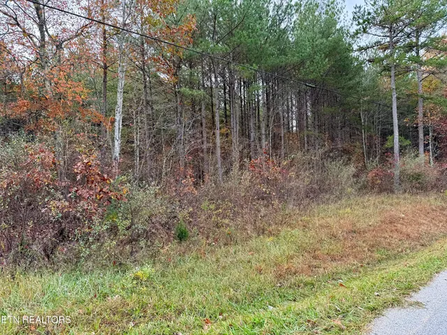 $45,900 | Airport Road, Oakdale, TN 37829