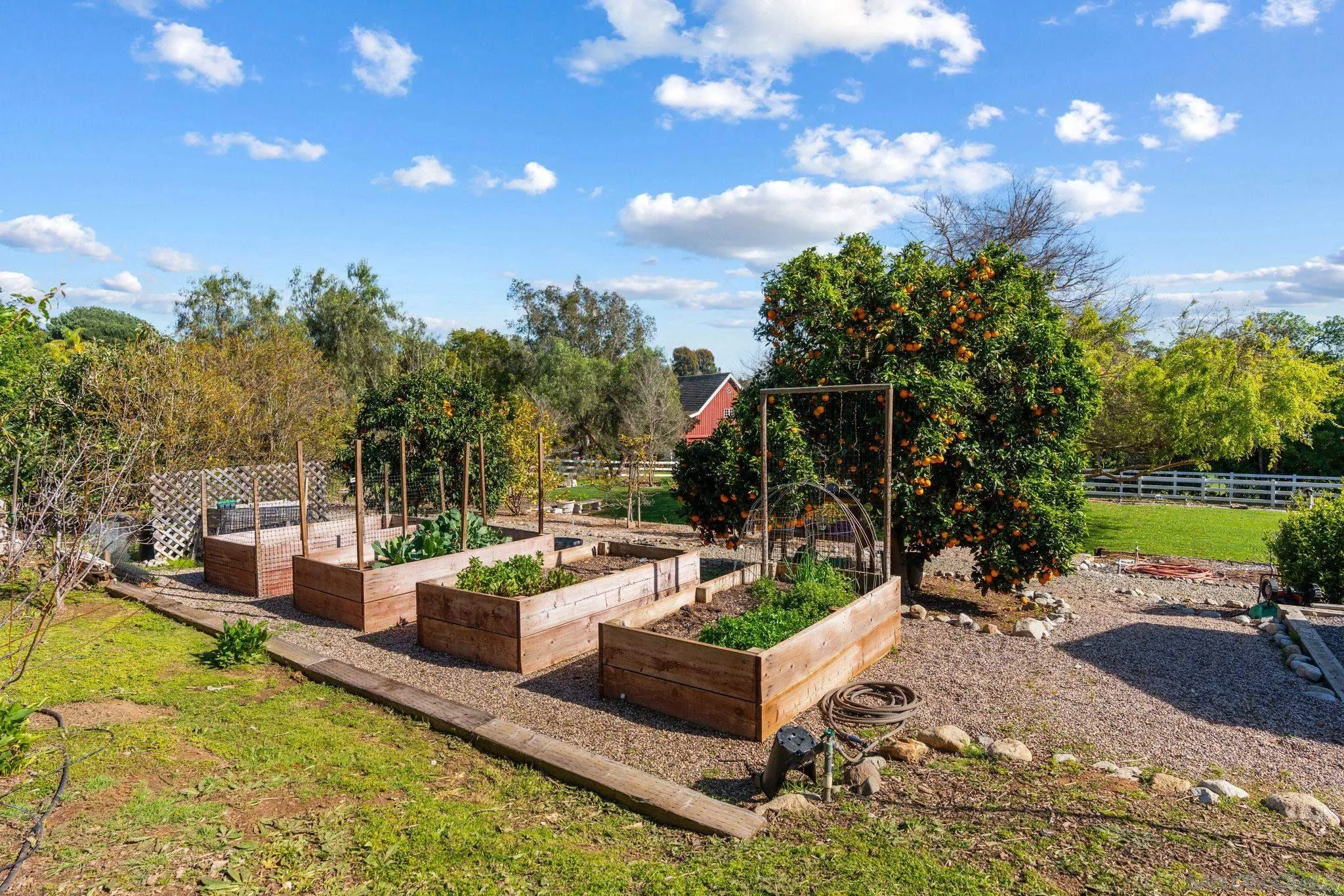 8 Country Glen Road Fallbrook, CA 92028 - Photo 23 of 30 a view of a swimming pool with a patio and a yard