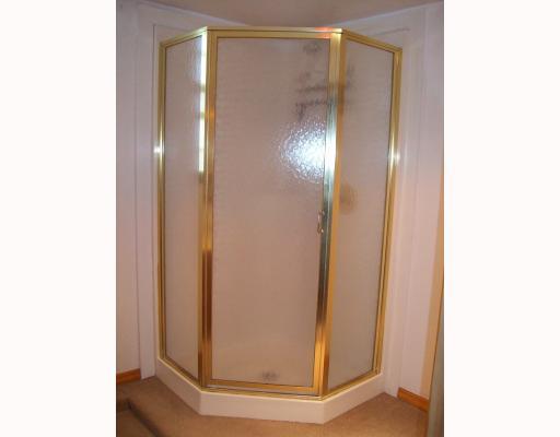 1233 Pinewood Road Irwin, PA 15642 - Photo 12 of 18 Other. Lower level bathroom shower.