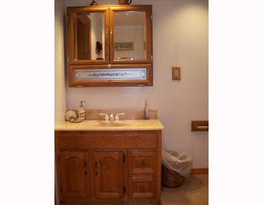 1233 Pinewood Road Irwin, PA 15642 - Photo 13 of 18 Other. Lower level bathroom vanity sink.