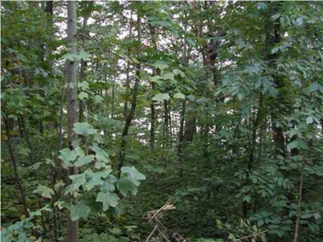 77 Lake View Road Pikeville, TN 37367 - Photo 1 of 5 Primary Photo