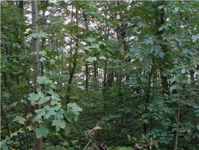 77 Lake View Road Pikeville, TN 37367 - Photo 2 of 5 Additional Photo