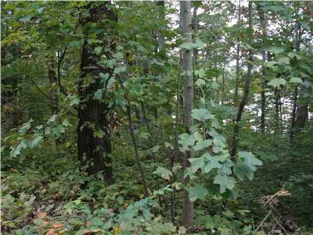 77 Lake View Road Pikeville, TN 37367 - Photo 3 of 5 Additional Photo