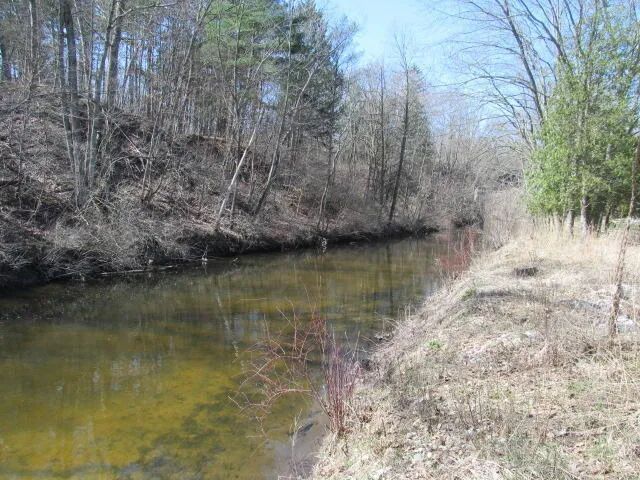 $145,000 | 12269 Crockery Creek Drive, Ravenna, MI 49451