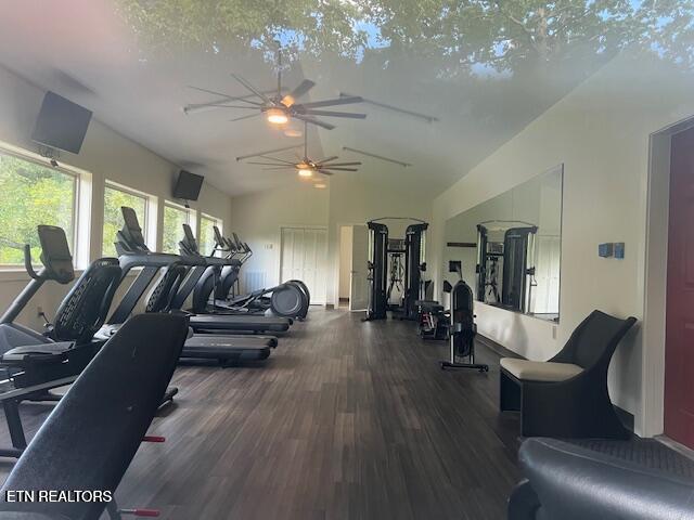 405 Laurel Trace Road Townsend, TN 37882 - Photo 28 of 28 LV Gym