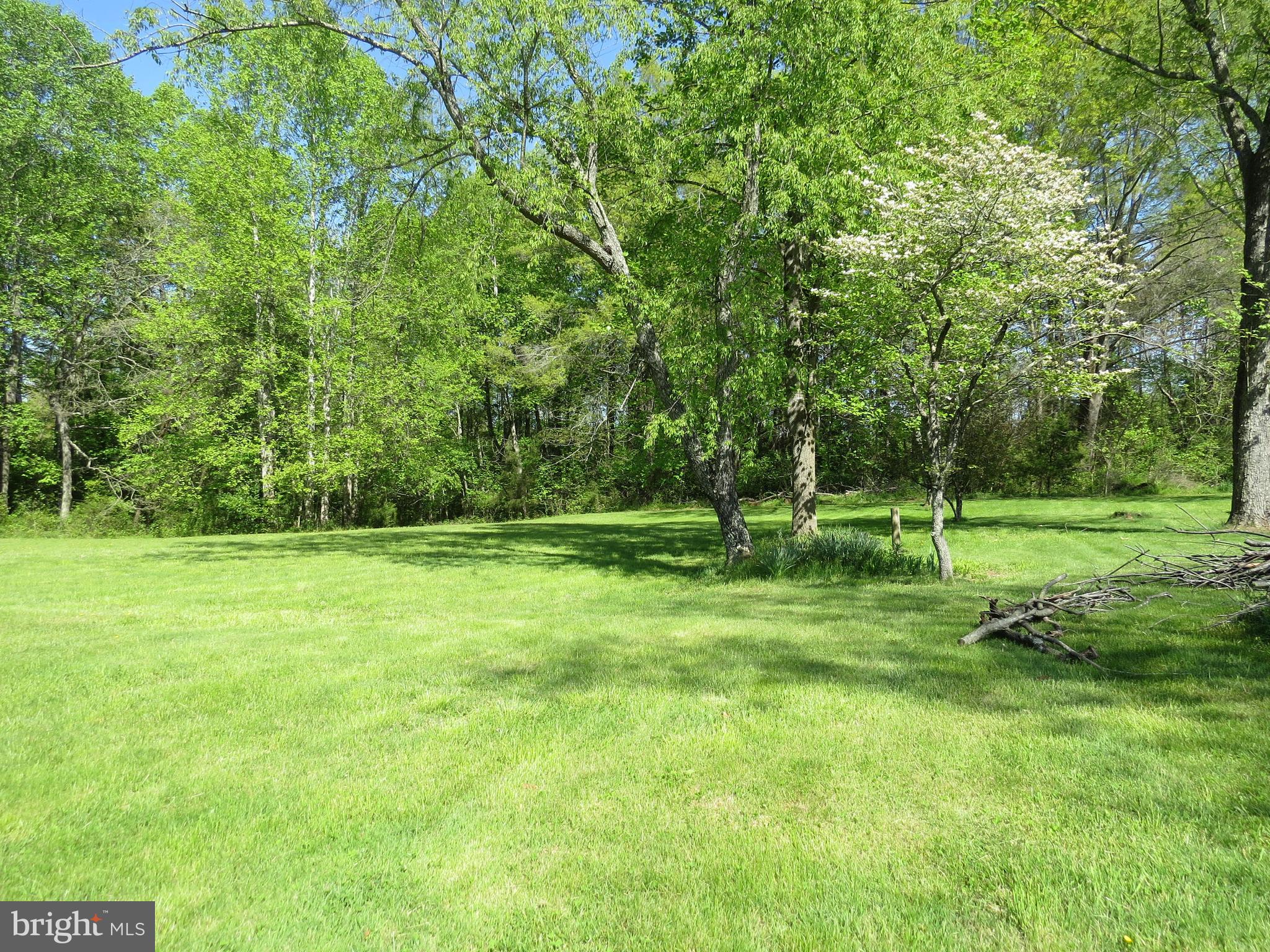 10001 Grasty Gold Mine Road Rhoadesville, VA 22542 - Photo 24 of 30 left side view of property