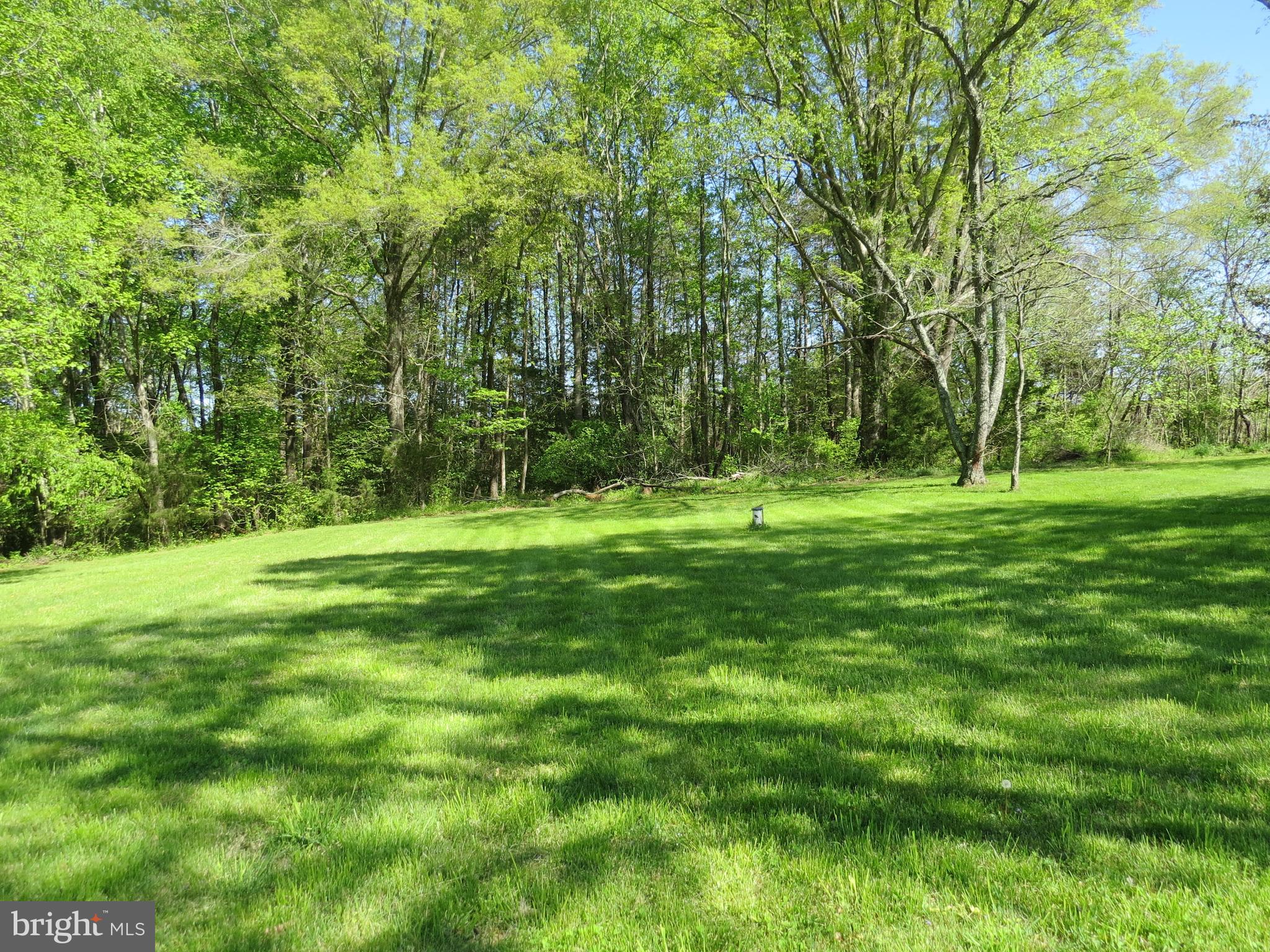 10001 Grasty Gold Mine Road Rhoadesville, VA 22542 - Photo 27 of 30 back yard