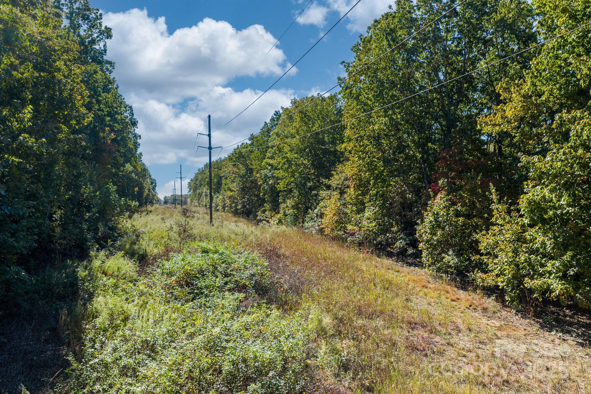 Tbd Southfork Road Lincolnton, NC 28092 - Photo 14 of 38 a view of a yard with plants and trees