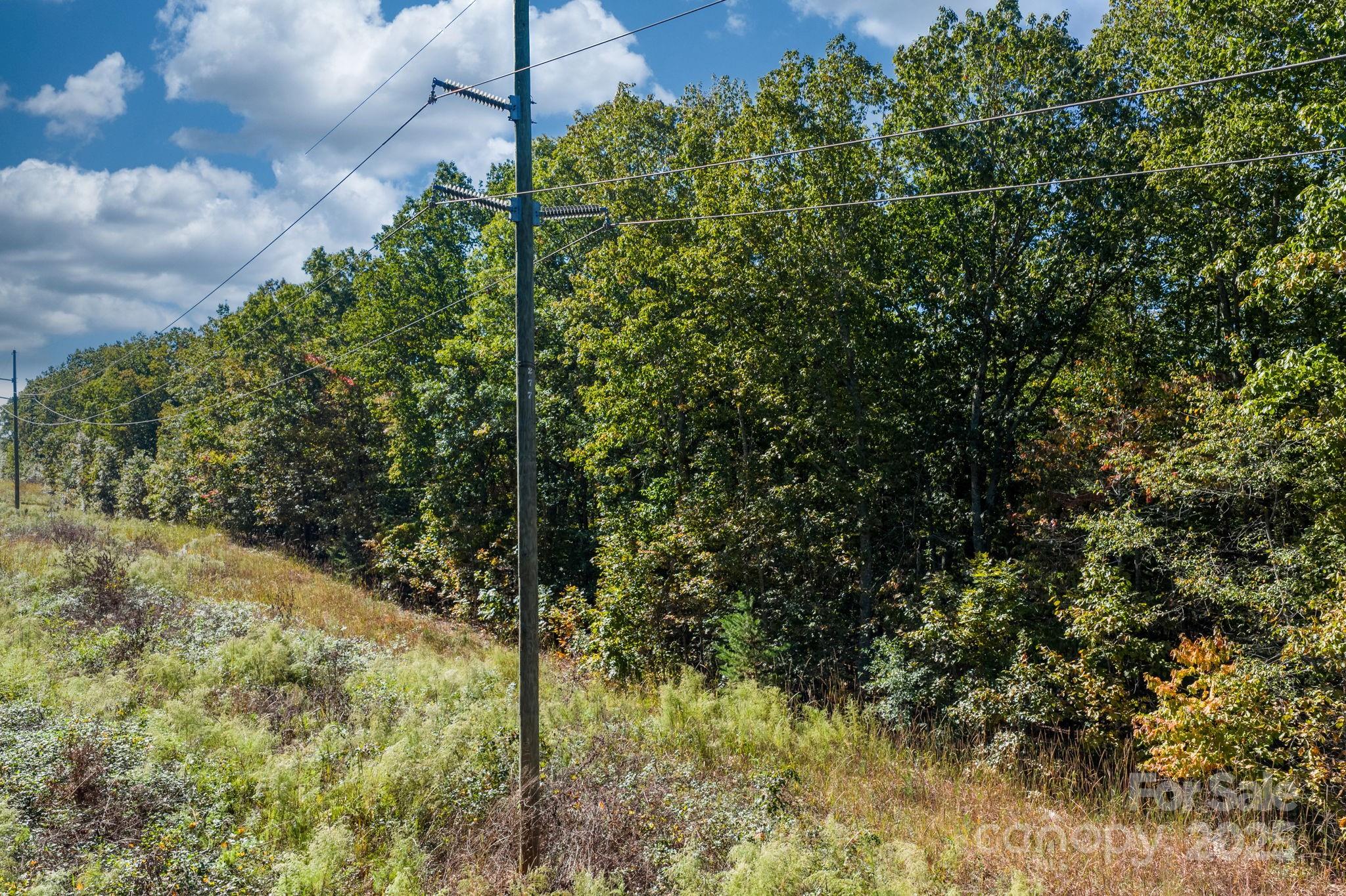 Tbd Southfork Road Lincolnton, NC 28092 - Photo 15 of 38 a view of a yard with plants and tree