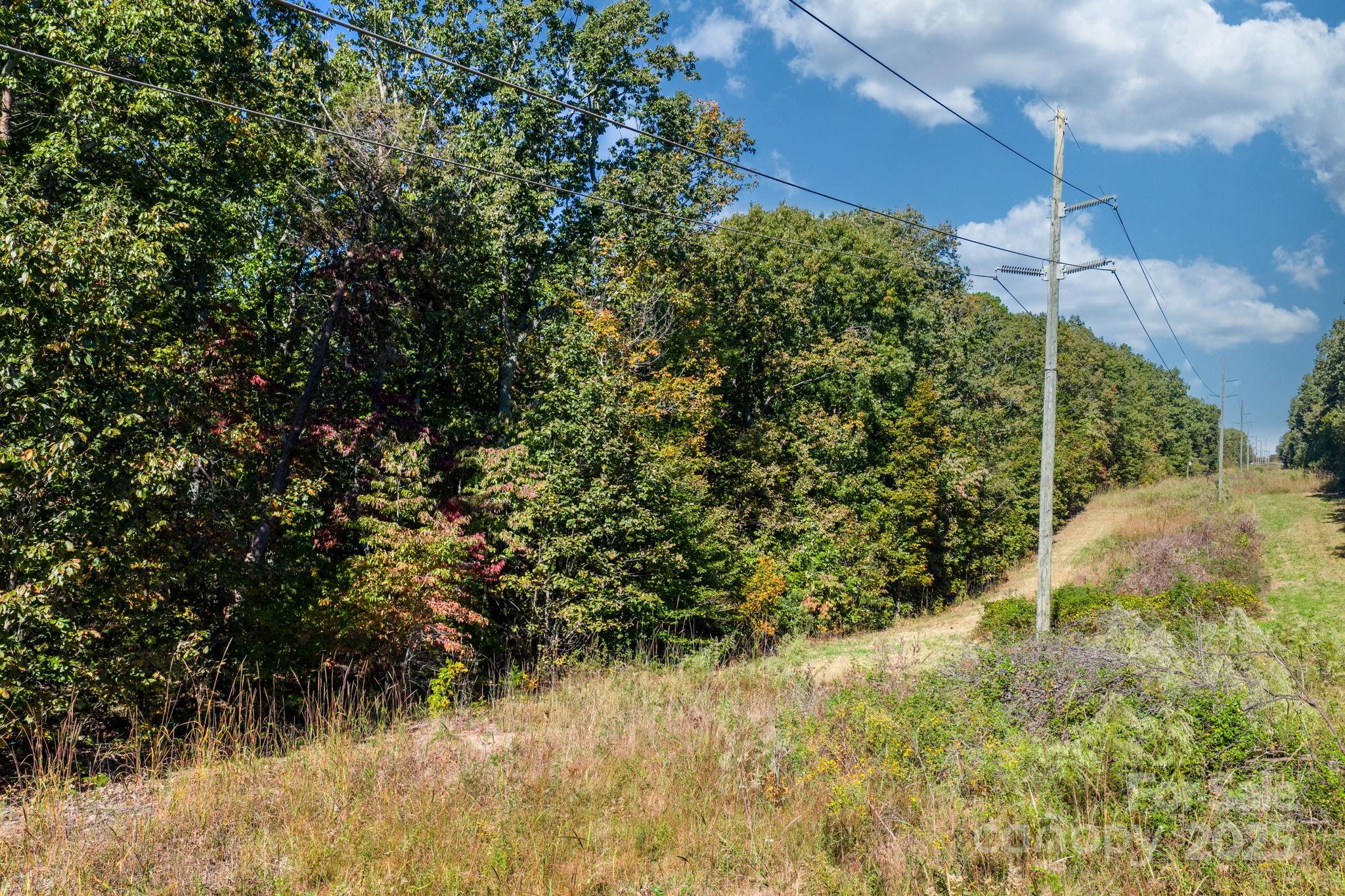 Tbd Southfork Road Lincolnton, NC 28092 - Photo 19 of 38 a view of a garden