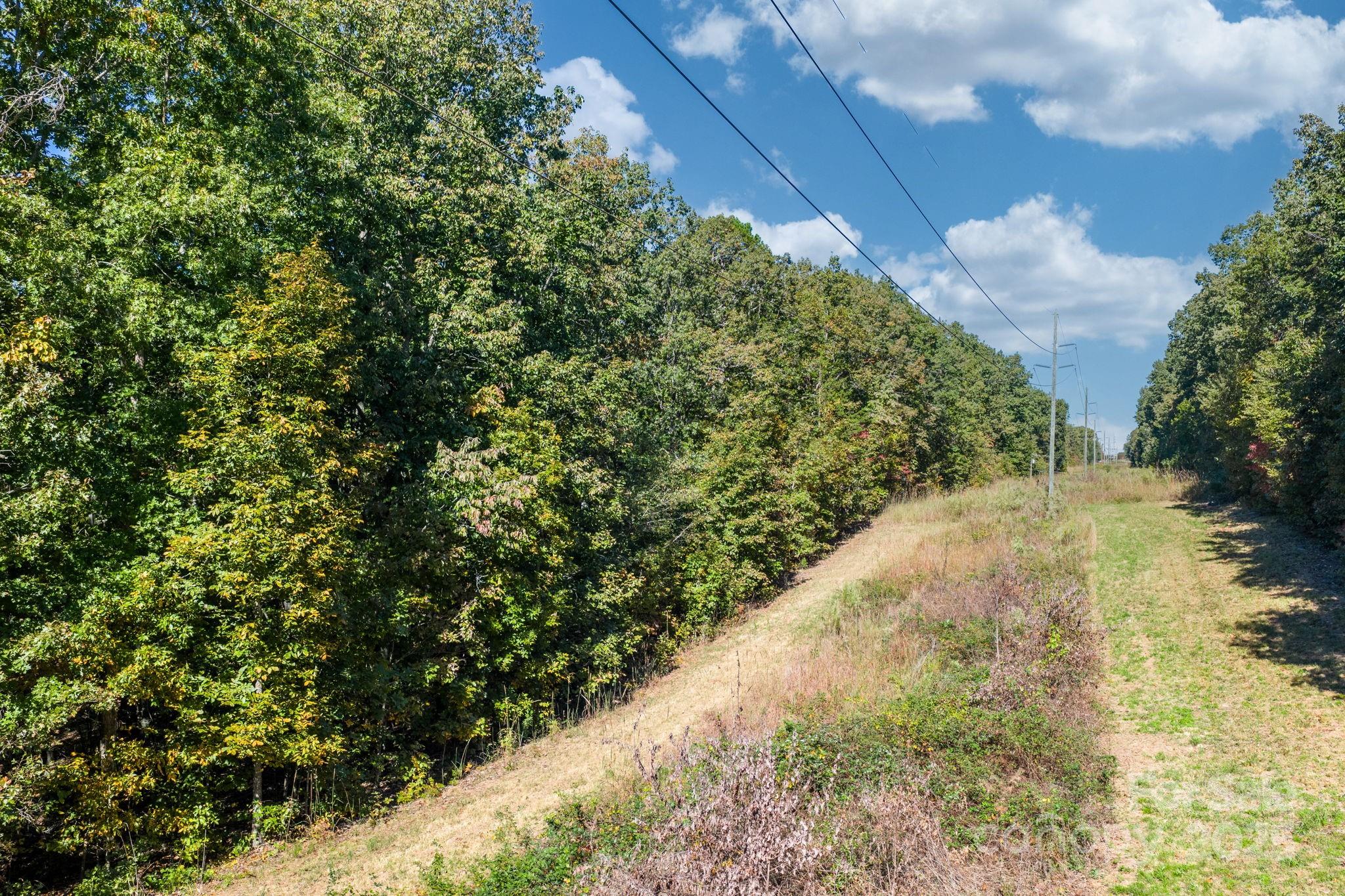 Tbd Southfork Road Lincolnton, NC 28092 - Photo 20 of 38 a view of a garden with plants