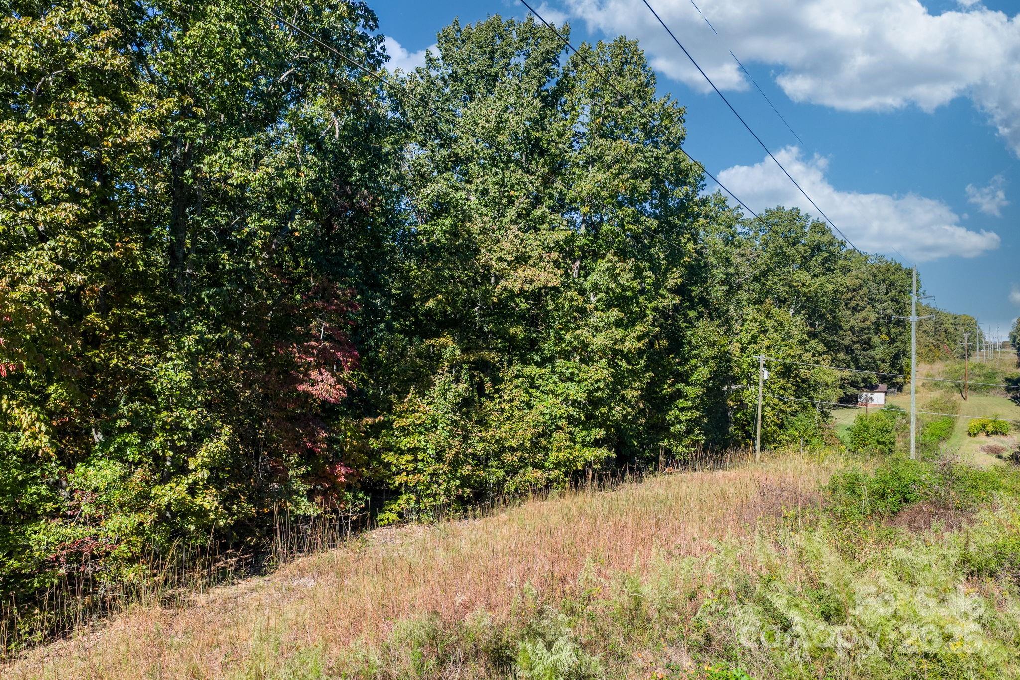 Tbd Southfork Road Lincolnton, NC 28092 - Photo 2 of 38 a view of a yard