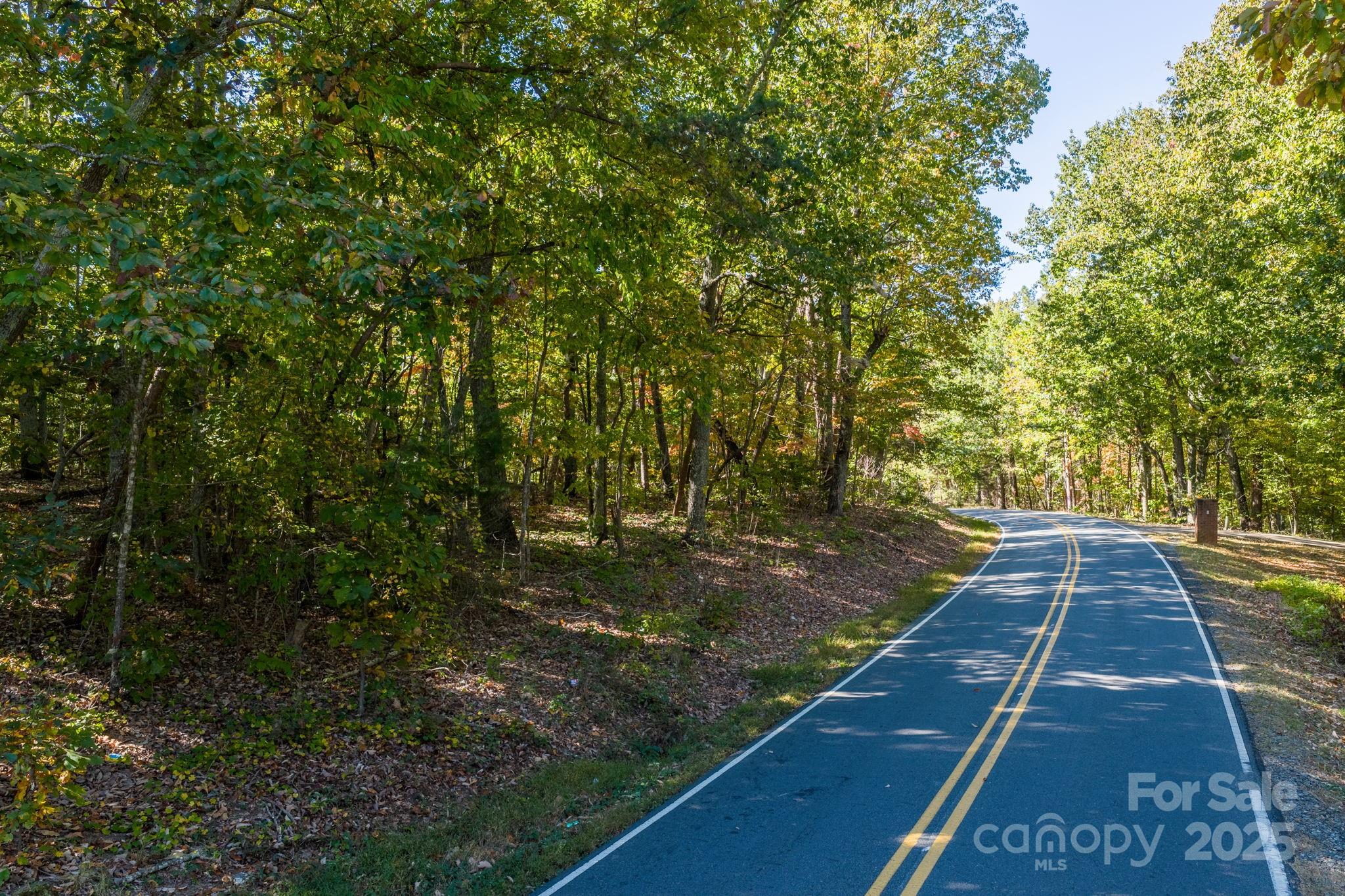 Tbd Southfork Road Lincolnton, NC 28092 - Photo 22 of 38 a view of an outdoor space with a garden