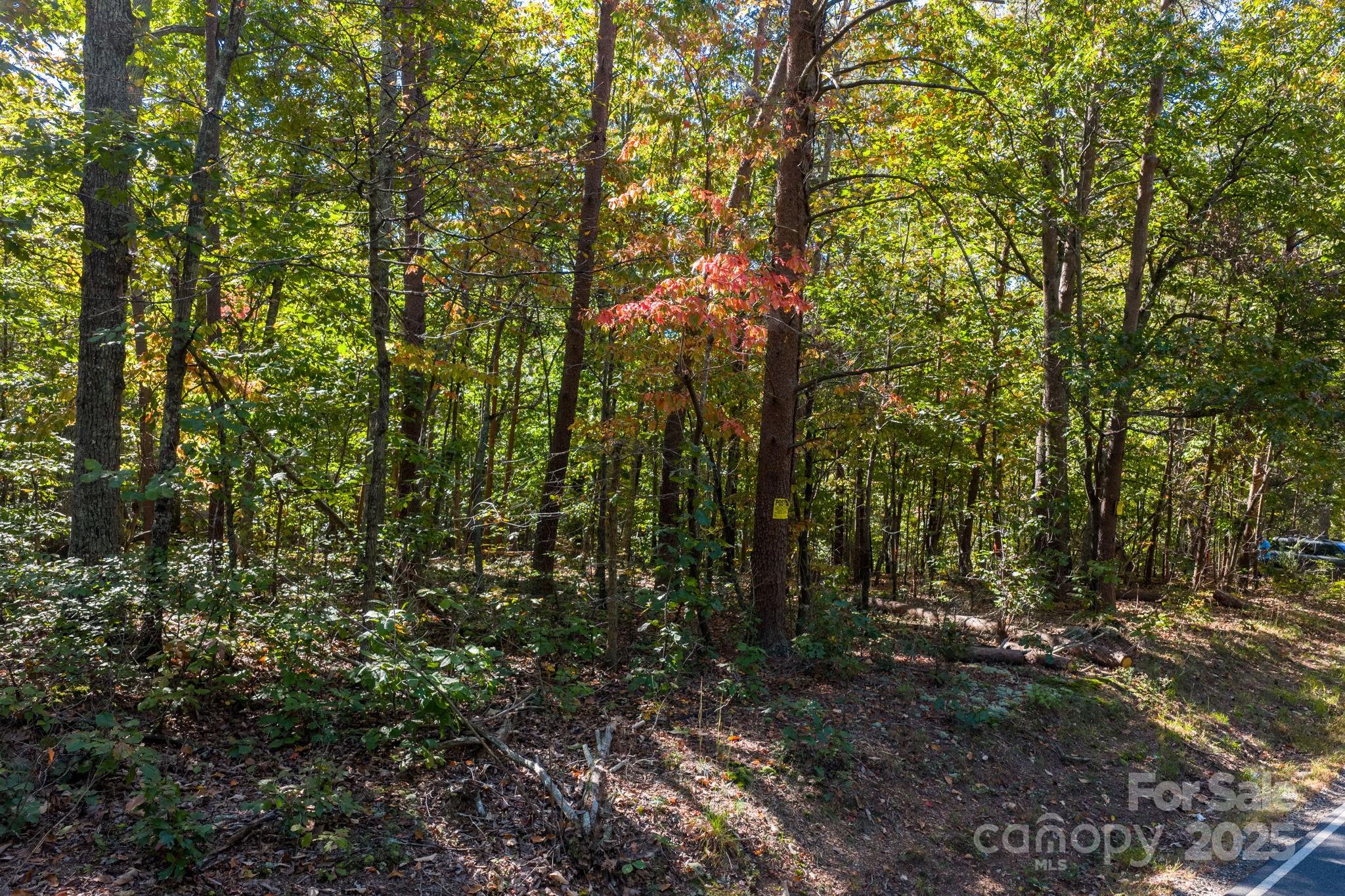 Tbd Southfork Road Lincolnton, NC 28092 - Photo 23 of 38