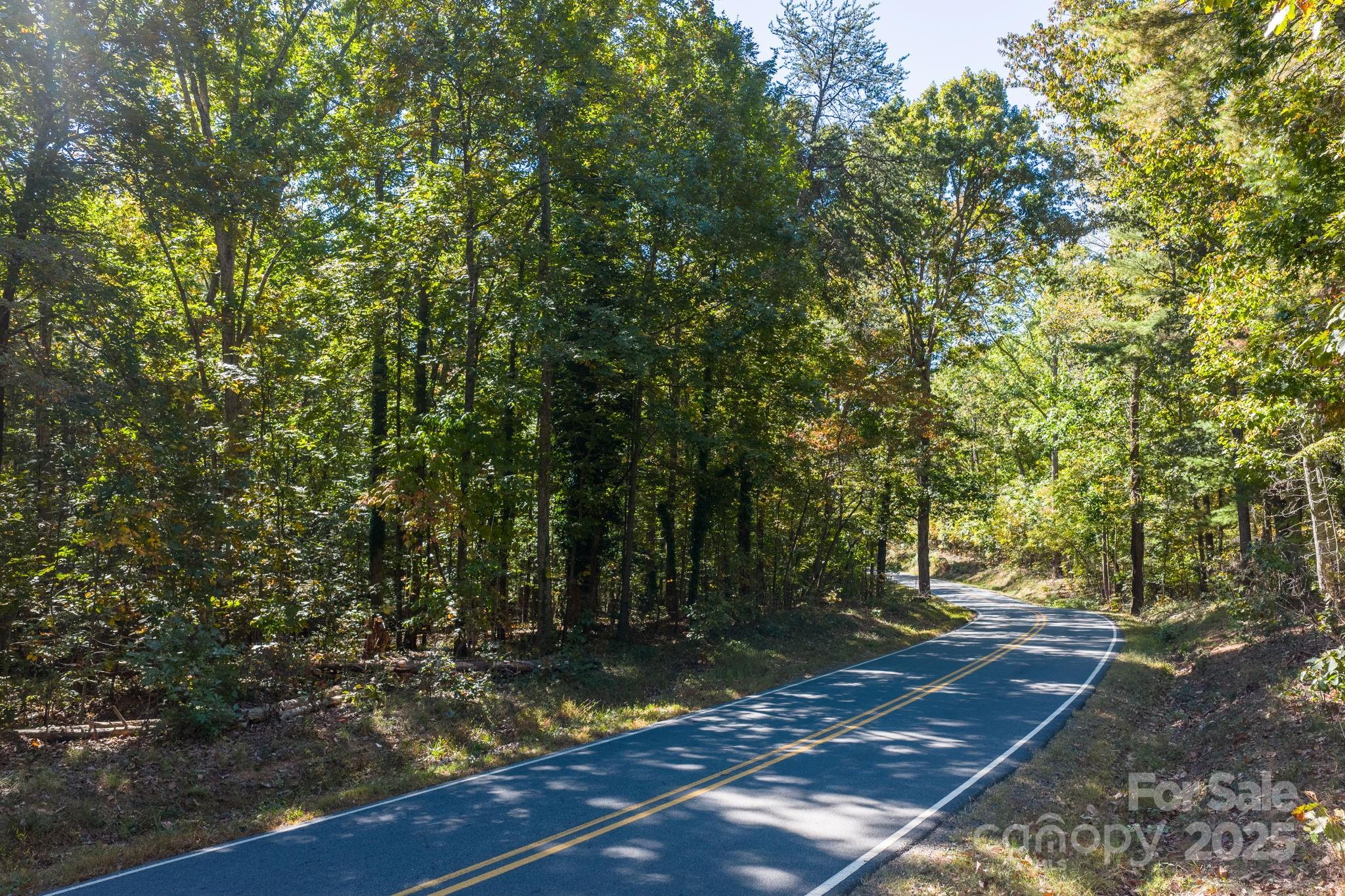 Tbd Southfork Road Lincolnton, NC 28092 - Photo 25 of 38 a view of yard