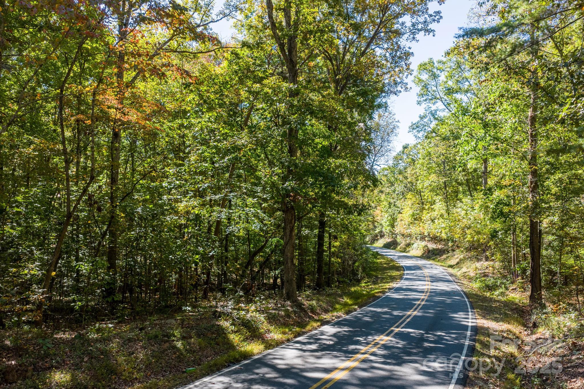 Tbd Southfork Road Lincolnton, NC 28092 - Photo 26 of 38 a view of yard