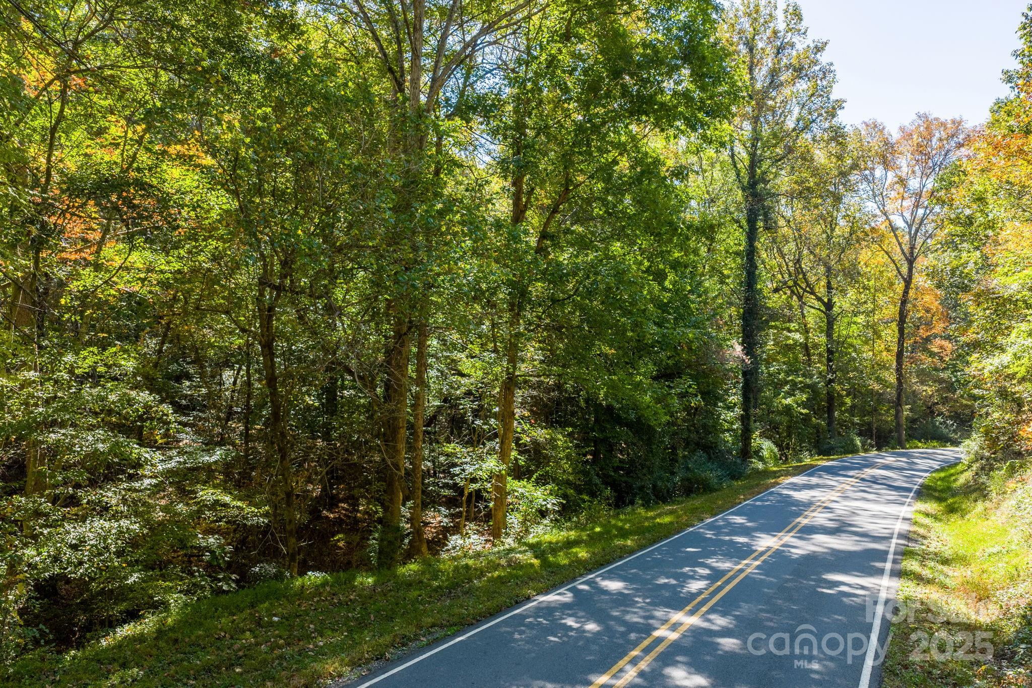 Tbd Southfork Road Lincolnton, NC 28092 - Photo 29 of 38 a view of a yard with plants and large trees