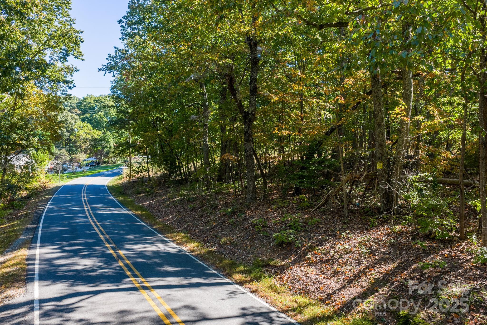 Tbd Southfork Road Lincolnton, NC 28092 - Photo 3 of 38
