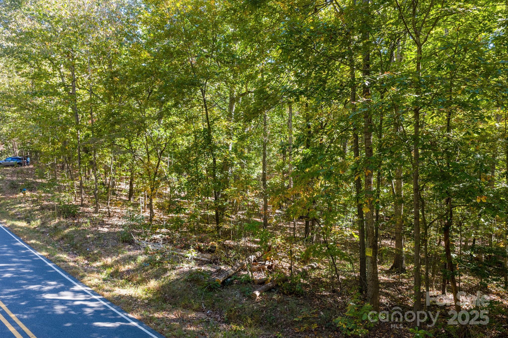 Tbd Southfork Road Lincolnton, NC 28092 - Photo 34 of 38 a view of a city