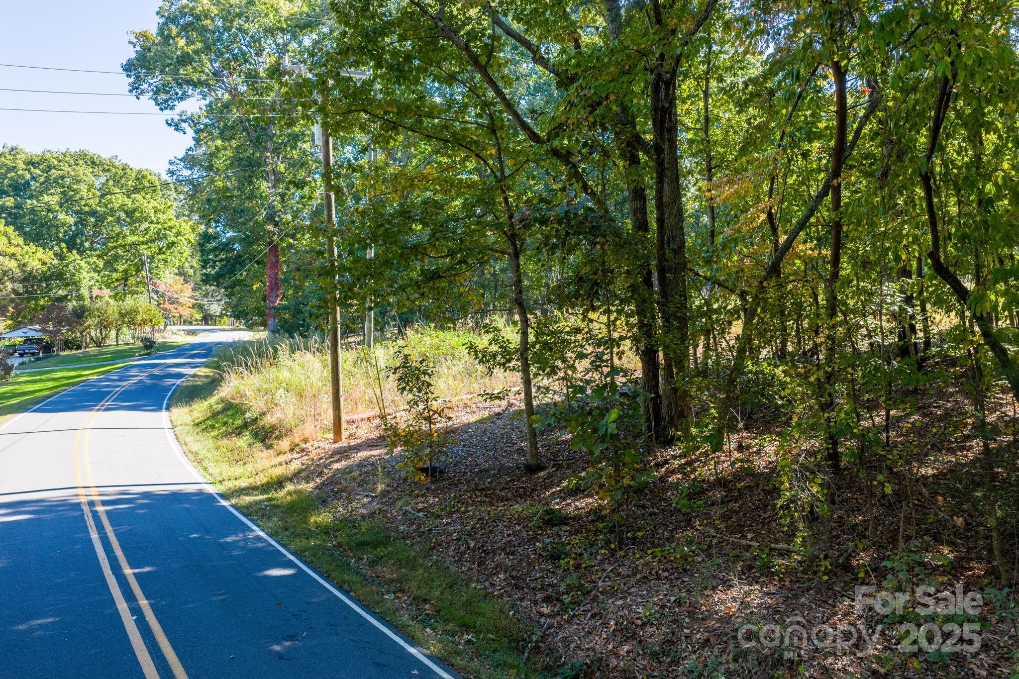 Tbd Southfork Road Lincolnton, NC 28092 - Photo 4 of 38 a view of a yard with plants