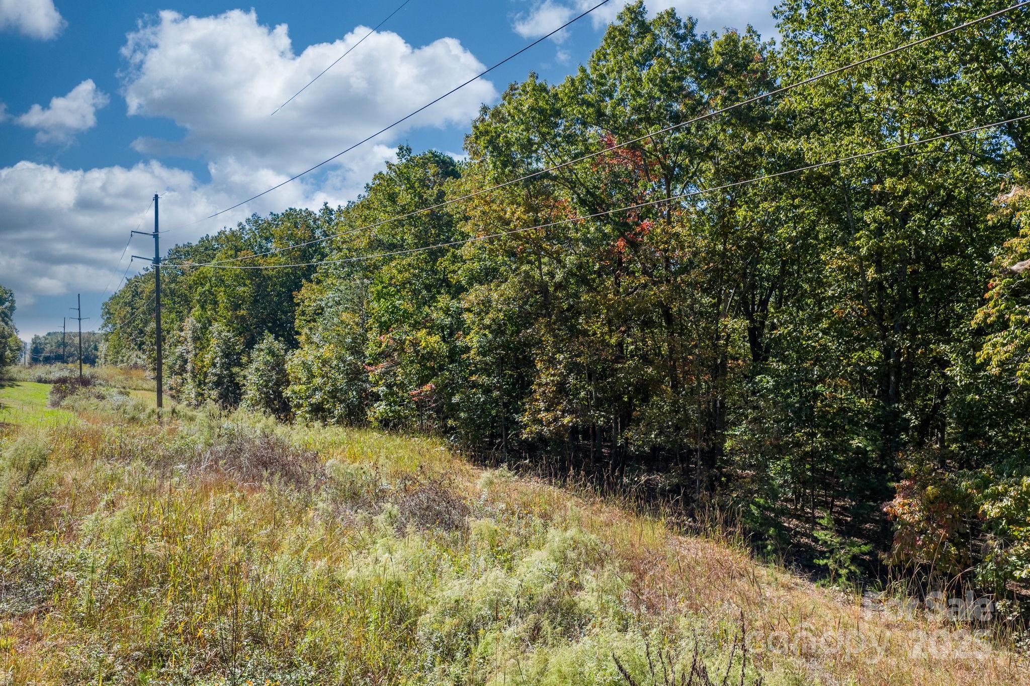 Tbd Southfork Road Lincolnton, NC 28092 - Photo 6 of 38 a view of a yard with plants and a trees