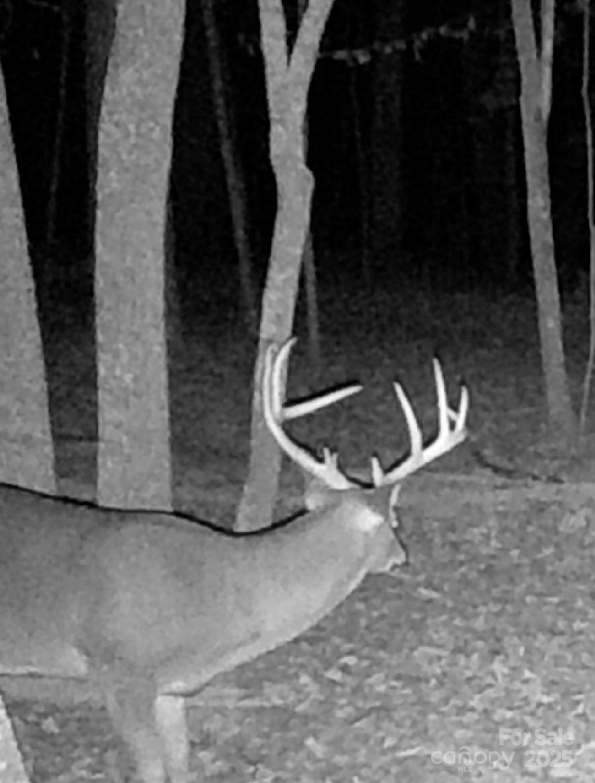 Tbd Southfork Road Lincolnton, NC 28092 - Photo 7 of 38 a view of entryway