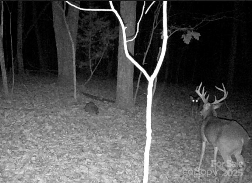 Tbd Southfork Road Lincolnton, NC 28092 - Photo 8 of 38 a view of entryway