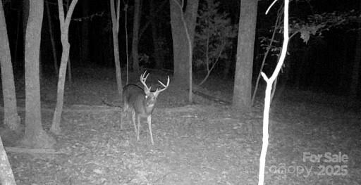 Tbd Southfork Road Lincolnton, NC 28092 - Photo 9 of 38