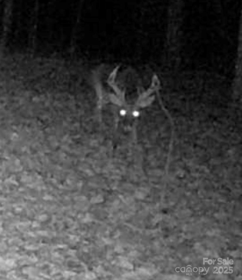 Tbd Southfork Road Lincolnton, NC 28092 - Photo 10 of 38