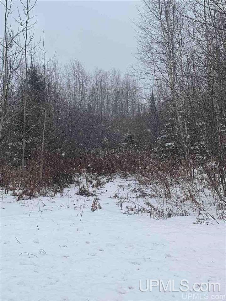 Tbd Lakehead Road Hurley, WI 54534 - Photo 6 of 7