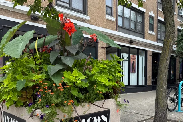 $800,000 | 4616 North Magnolia Avenue, Unit 1, Chicago, IL 60640