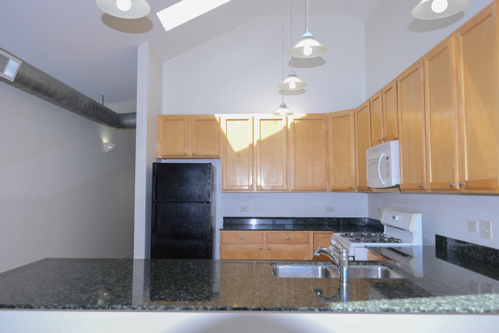 2334 West Harrison Street, Unit 4 Chicago, IL 60612 - Photo 5 of 19