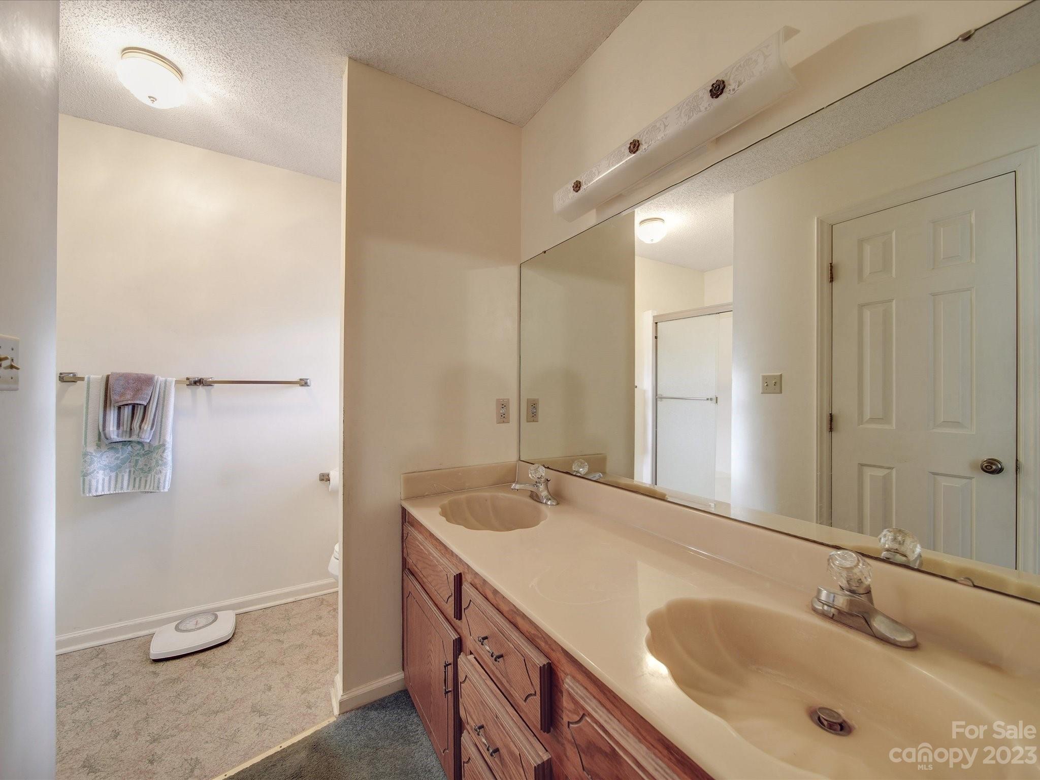 3237 Horseshoe Trail Fort Mill, SC 29708 - Photo 14 of 33 a bathroom with a sink and a mirror