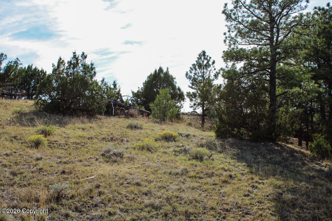 0 Skull Creek Road Osage, WY 82723 - Photo 42 of 51 Gallery Image 42