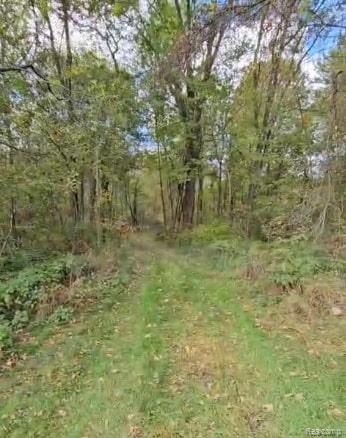37 Risch Road North Webberville, MI 48892 - Photo 5 of 20