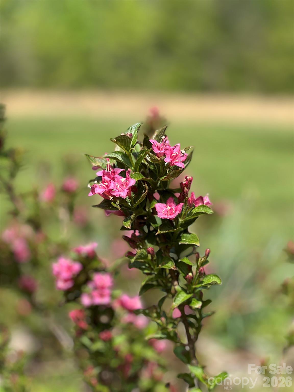 635 East Sanders Road Shelby, NC 28150 - Photo 39 of 48