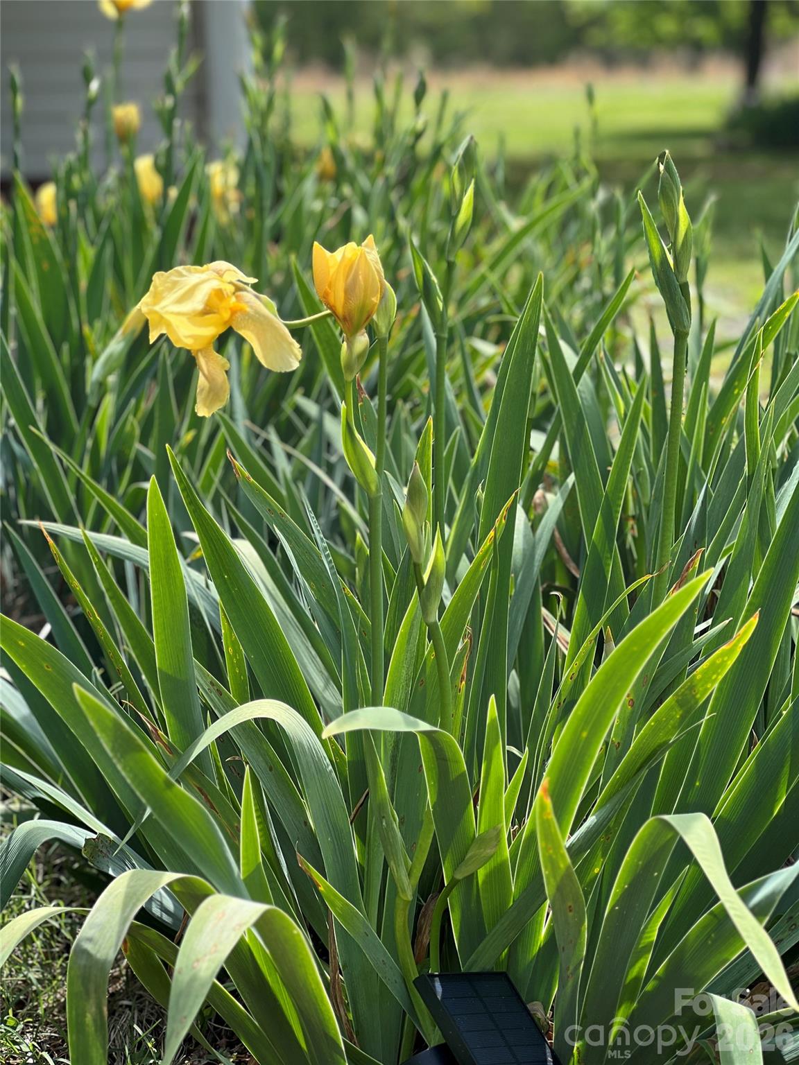 635 East Sanders Road Shelby, NC 28150 - Photo 40 of 48