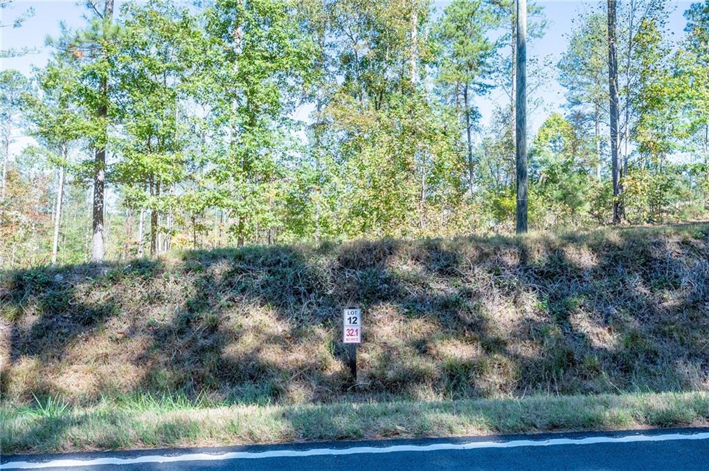 3875 Hwy 140 Ne Rydal Ga 30171 Northeast Rydal, GA 30171 - Photo 11 of 13