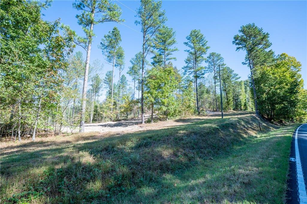 3875 Hwy 140 Ne Rydal Ga 30171 Northeast Rydal, GA 30171 - Photo 12 of 13