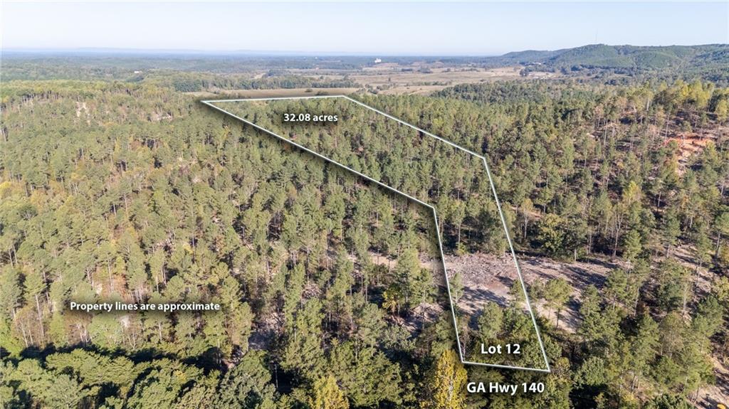 3875 Hwy 140 Ne Rydal Ga 30171 Northeast Rydal, GA 30171 - Photo 3 of 13