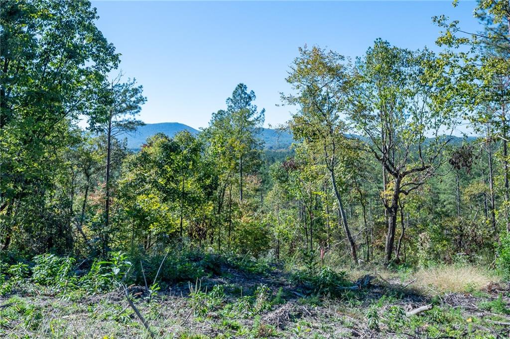 3875 Hwy 140 Ne Rydal Ga 30171 Northeast Rydal, GA 30171 - Photo 4 of 13