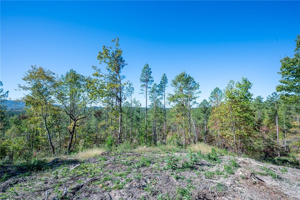 3875 Hwy 140 Ne Rydal Ga 30171 Northeast Rydal, GA 30171 - Photo 5 of 13