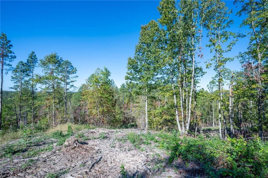 3875 Hwy 140 Ne Rydal Ga 30171 Northeast Rydal, GA 30171 - Photo 6 of 13